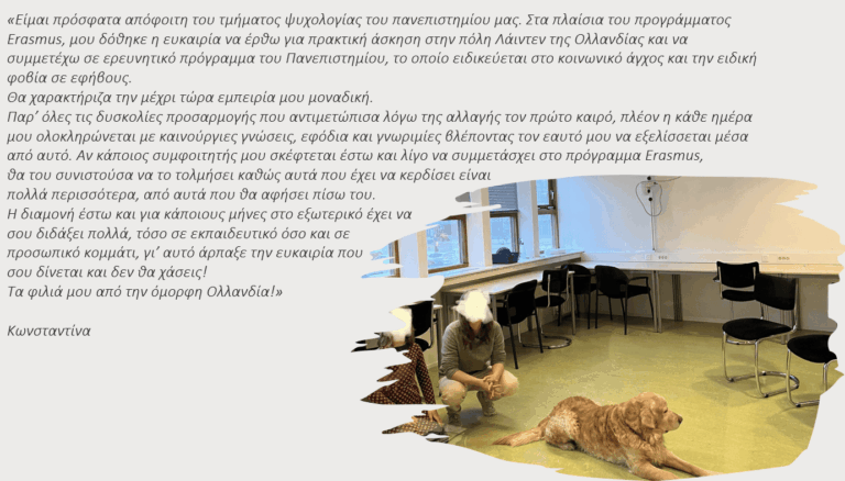 image-19